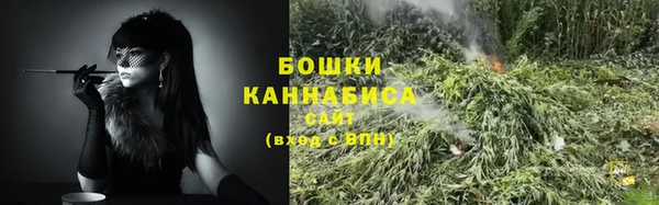 ПСИЛОЦИБИНОВЫЕ ГРИБЫ Елизово