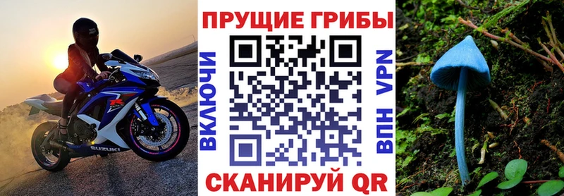 Купить  Киренск  Галлюциногенные грибы MAGIC MUSHROOMS 